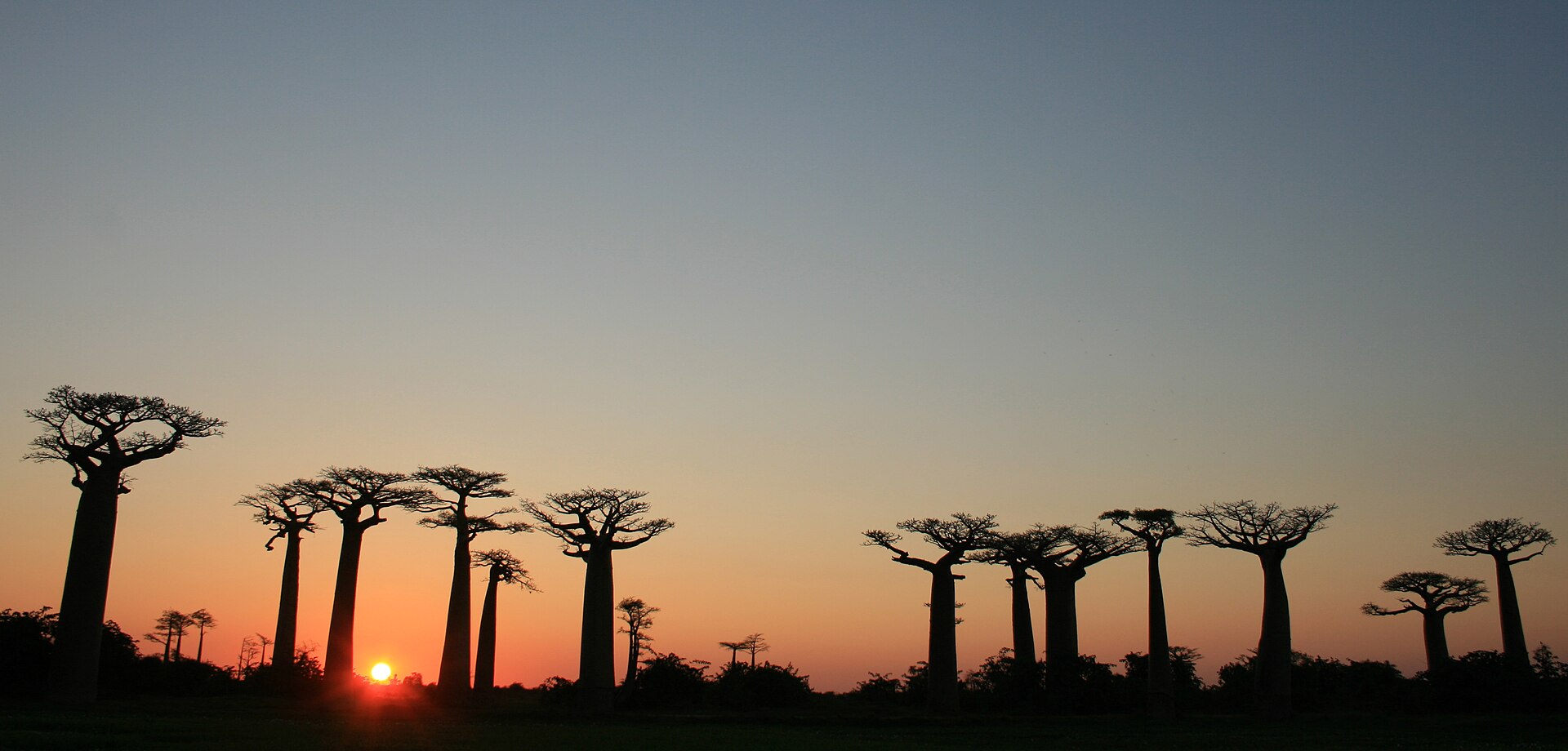 Viaje a Madagascar