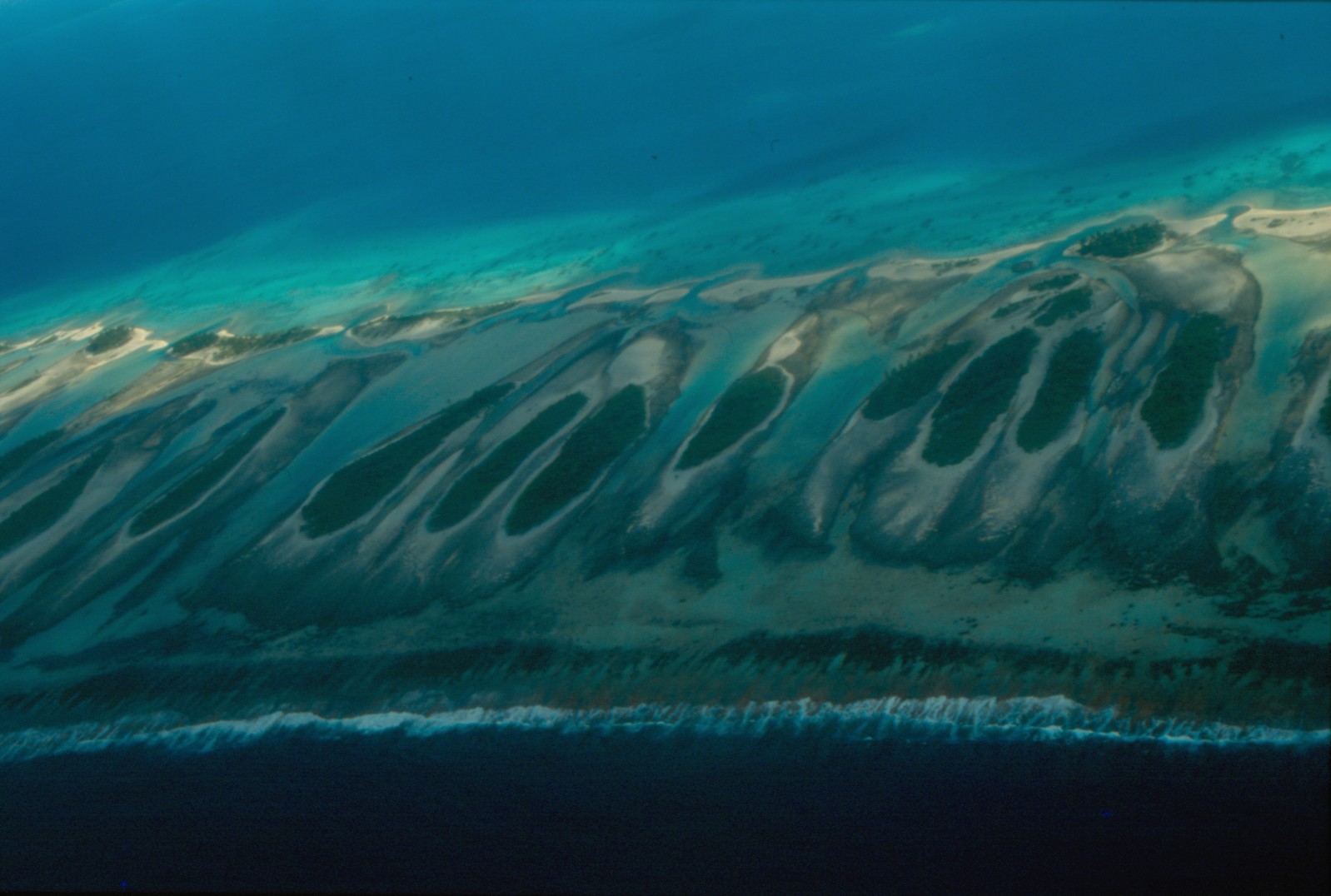 Motus y laguna del atolón de Tikehau