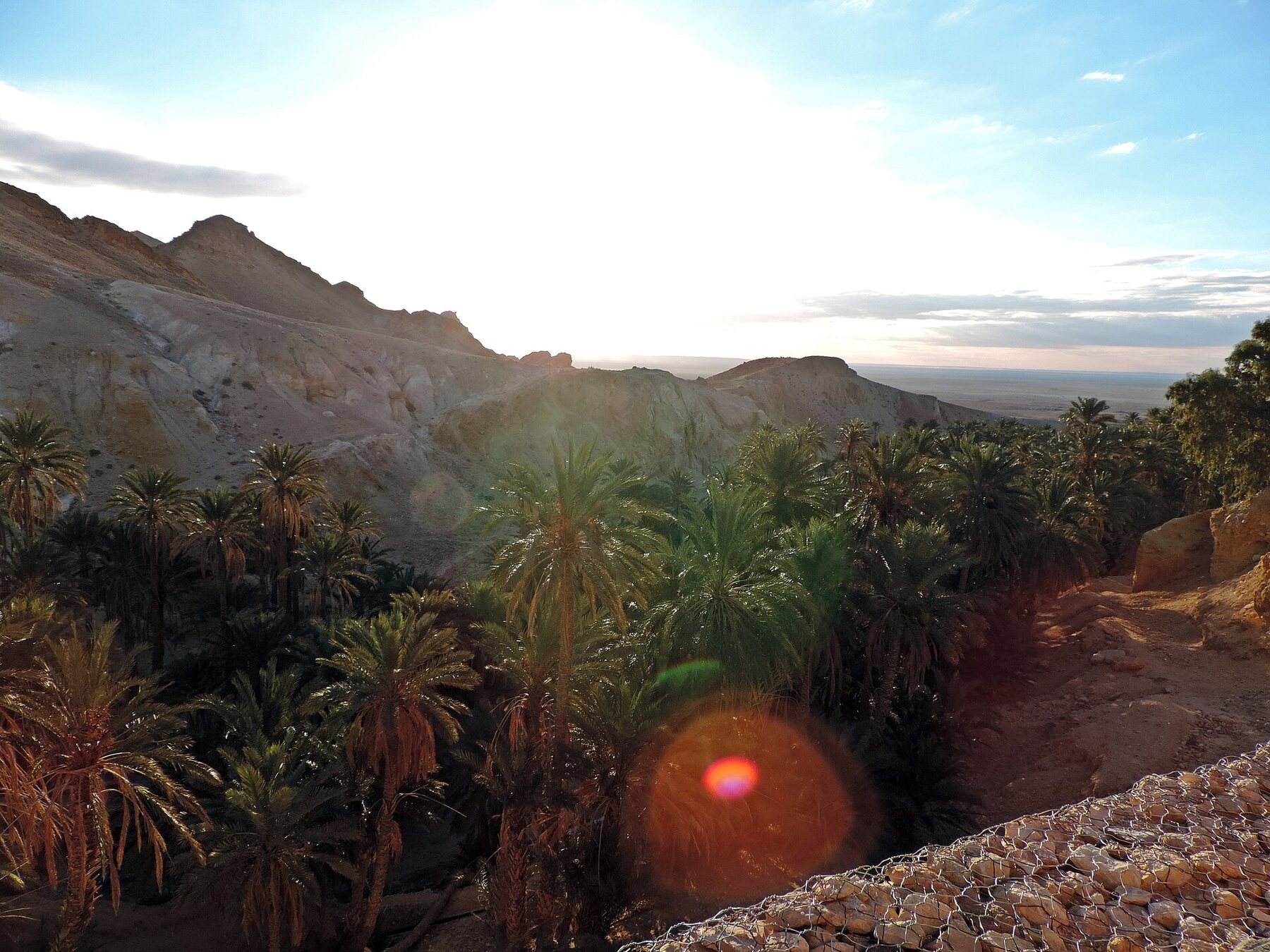 Palmeras y montañas del oasis de Chebika
