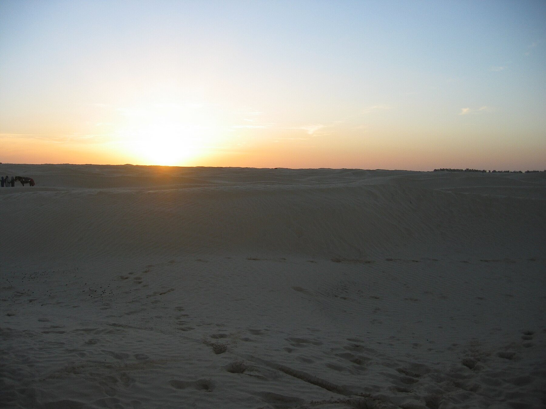 Dunas del Sáhara al atardecer cerca de Douz