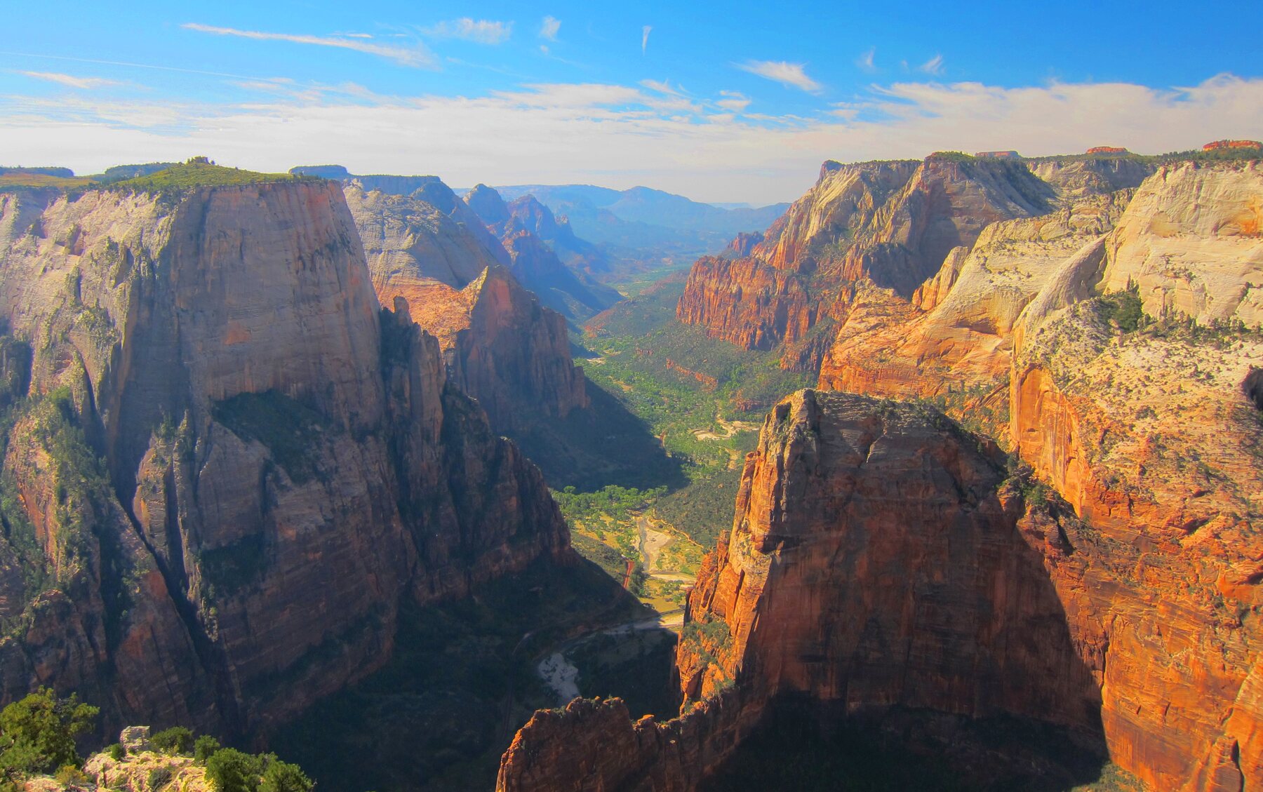 Paredes rojizas del cañón de Zion